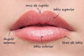 LABIOS EXPRESS WALKIN